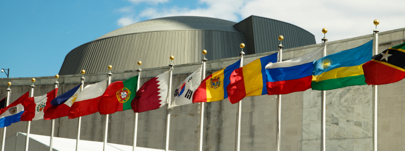 flags at the UN building (decorative image)